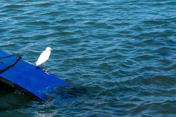 Avancées spectaculaires en soins intensifs : Les percées technologiques qui transforment le domaine