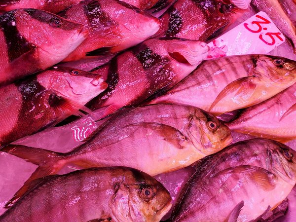 Comprendre la Maladie de Parkinson : Démystification et Connaissances Essentielles